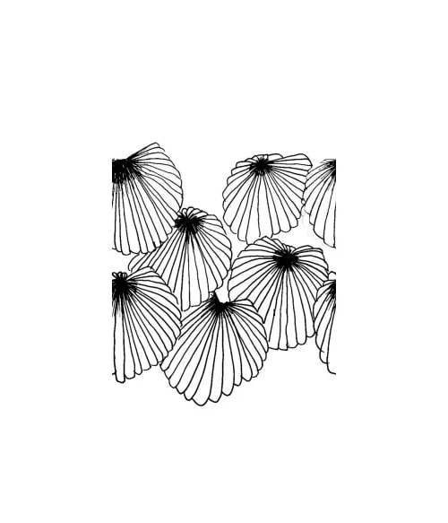 Abat-jours Lampadaires Abat-jour Lampadaire Coquillage T 45 X H 25 6 Abat-jours Lampadaires Abat-jour Lampadaire Coquillage T 45 X H 25 – Image 4