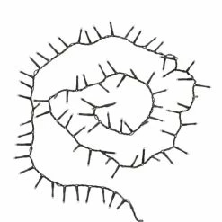 Maisons Du Monde Guirlandes Et Cimiers Guirlande De Noël Lumineuse Blanche 500 LEDS 11M