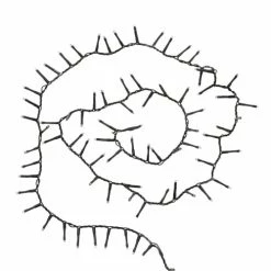 Maisons Du Monde Guirlandes Et Cimiers Guirlande électrique L.90