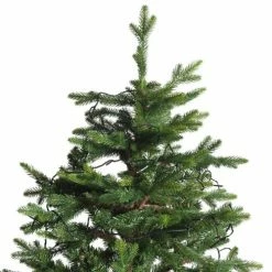 Maisons Du Monde Guirlandes Et Cimiers Guirlande Lumineuse Intérieur/extérieur 18M -Éclairage Soldes 2024 guirlande lumineuse interieur exterieur 18m 1000 3 34 161656 3