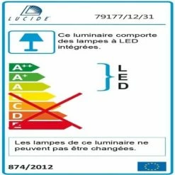 Lucide Suspensions Plafonnier LED Rond En Métal D34.5cm -Éclairage Soldes 2024 plafonnier led rond en metal d34 5cm 2